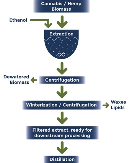 The Extraction Process