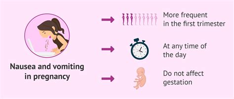 The Factors Behind Nausea During Pregnancy