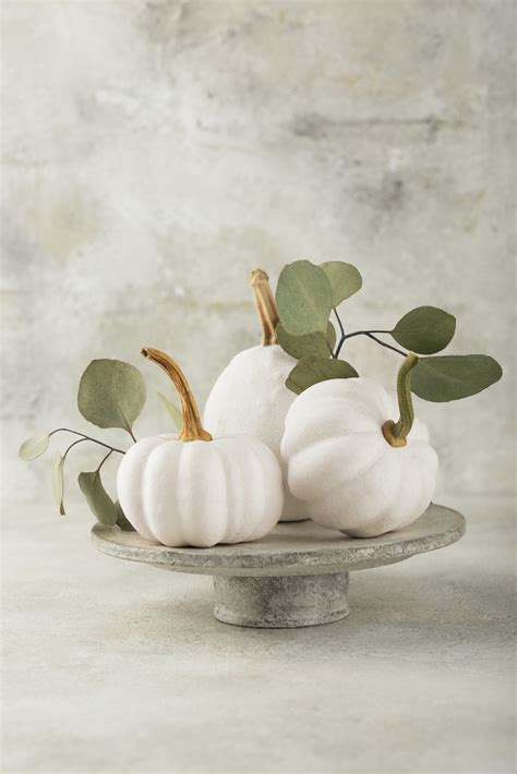 The Fascinating Charm of White Pumpkin Blossoms