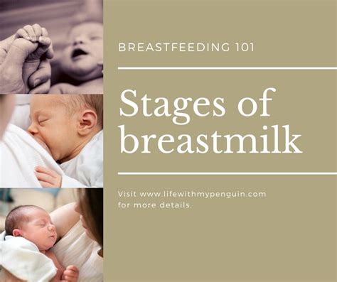 The Fascinating Connection between Dreams of Breast Milk and the Journey of Motherhood