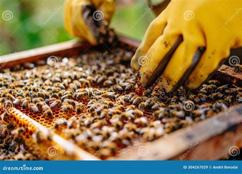 The Fascinating Craft of Apiculture and the Wonderful Art of Harvesting Golden Nectar