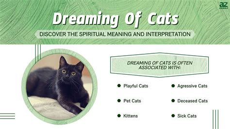 The Fascinating Explanations of Dreaming About Felines in Hindi