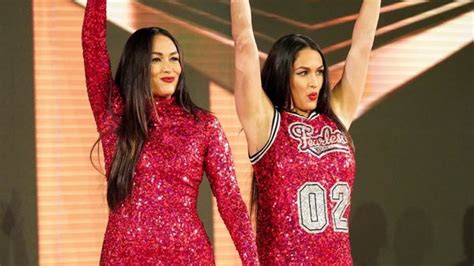 The Fascinating Journey of the Bella Twins