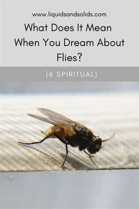 The Fascinating Link Between Flies and Hair in Dreams