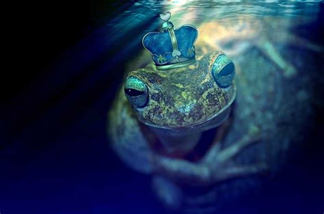 The Fascinating Origins of the Mysterious Myth of the Ebony Amphibious Mammal