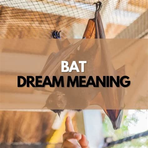 The Fascinating Realm of Bat Dreams