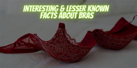 The Fascinating Realm of Male Bra Enthusiasts