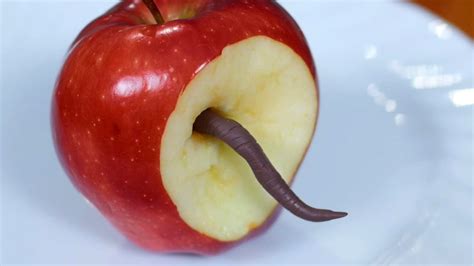 The Fascinating Significance of Dreaming About a Worm in an Apple