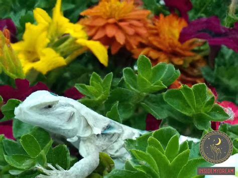 The Fascinating Symbolism Behind Lizard-Inspired Dreams