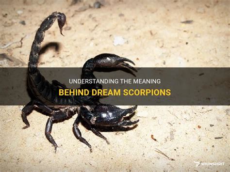 The Fascinating Symbolism Behind Scorpions in Dreams