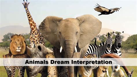 The Fascinating Universe of Animal Dream Interpretation