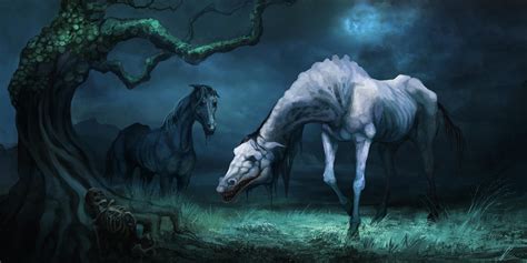 The Fascinating Universe of Equine Nighttime Fantasies