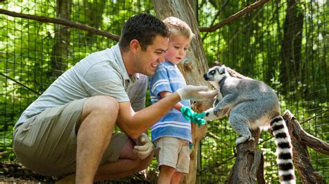 The Fascination of Encountering Wildlife Up Close and Personal