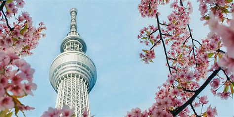 The Fascination of Treading Upon Blossoms: The Sublime Attraction of This Reverie