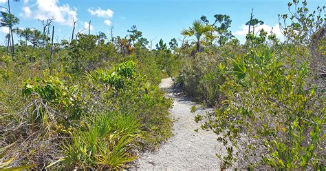 The Fascination of an Unspoiled Natural Haven