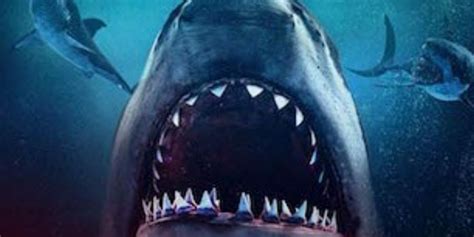 The Fear Factor: Decoding the Emotions behind Shark Nightmares