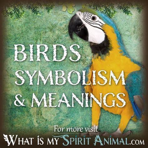 The Feathered Messengers: Exploring the Spiritual and Magical Aspects of Avian Dreams