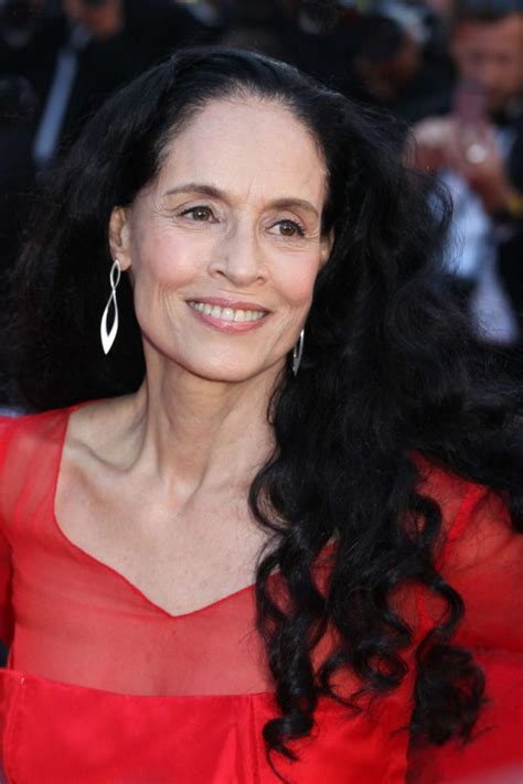 The Figure of Sonia Braga