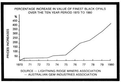 The Financial Value Analysis of Opal Reins