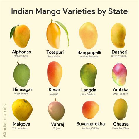 The Fine Art of Selecting the Ideal Mango