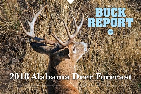 The Future Prospects of the Majestic Alabama Buck