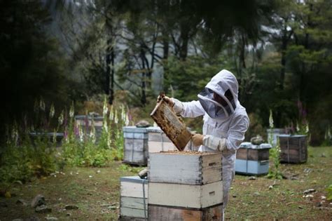 The Future of Apiculture: Advancements in Technology and Research