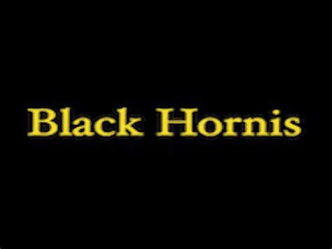 The Future of Ultimate Black Hornis