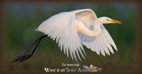 The Graceful Choreography: Delving into the Symbolic Meaning Behind the Egret's Dance