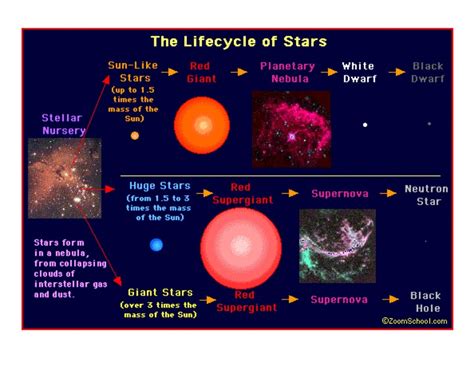 The Growth of a Star