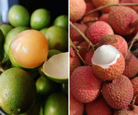 The Guinep Experience: Where to Find, Savour, and Encounter this Exotic Fruit