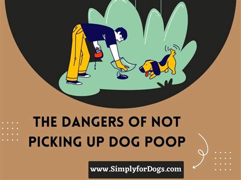 The Hazards of Canine Excrement