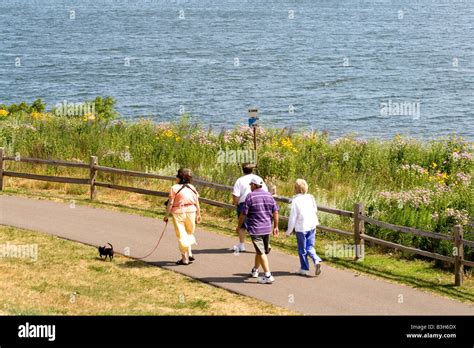 The Healing Effects of Strolling along the Shoreline