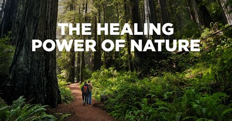 The Healing Power of Nature: Seeking Solace in Remote Destinations