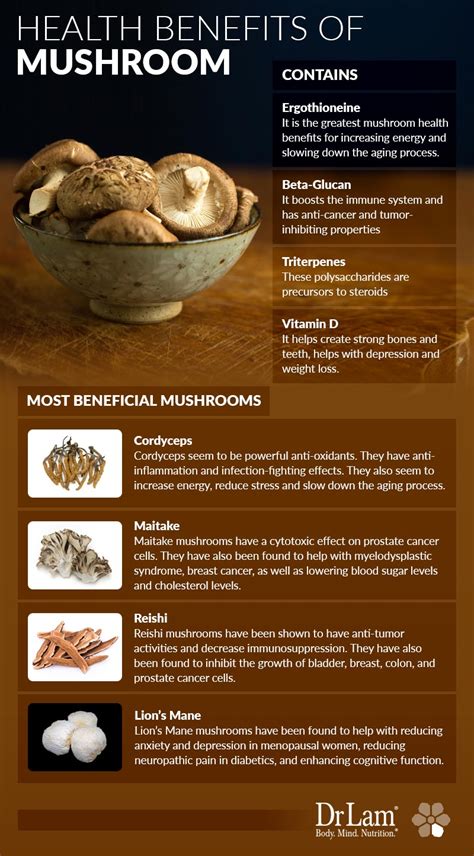 The Healing Powers and Health Benefits of Mushrooms