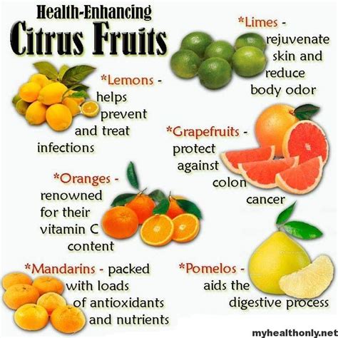 The Health Advantages of Citrus Fruits