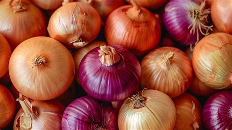 The Health Benefits and Culinary Uses of Harvested Onions