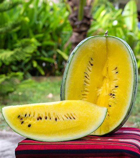 The Health Benefits of Consuming Golden Watermelon