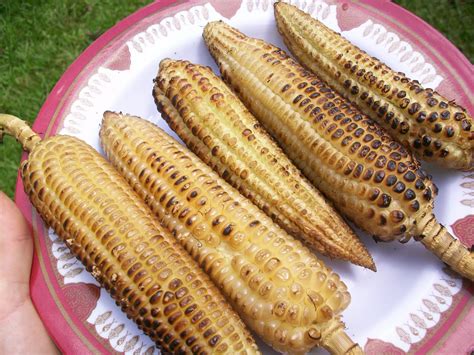 The Health Benefits of Roasted Maize as a Nutritious Snack