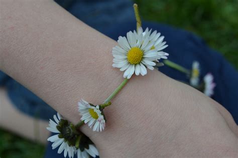 The Height of Daisy Chains