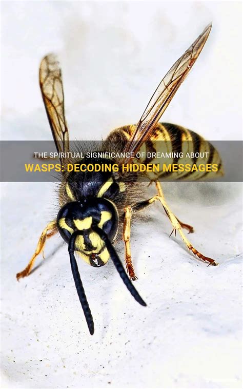 The Hidden Message: Decoding the Significance Wasps Bring in Dreams