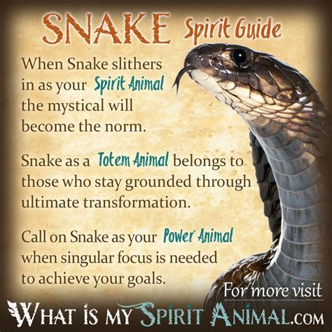 The Hidden Messages of Snake Dreams: Decoding Symbolic Meanings