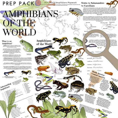 The Hidden Messages of the Amphibian World