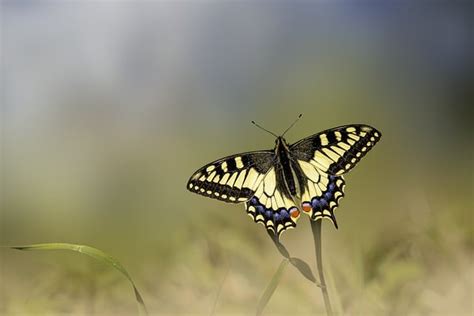 The Hidden Significance of Sleep Encounters: Decoding the Enigma of Nocturnal Insect Bites