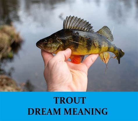 The Hidden Significance of Trout Dreams