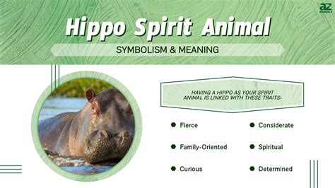 The Hippopotamus: An Empowering and Symbolic Creature