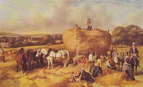 The Historical Significance of Wheat in Agricultural Society