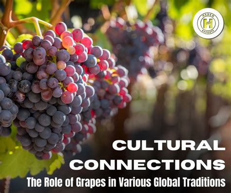 The Historical and Cultural Significance of Grapes