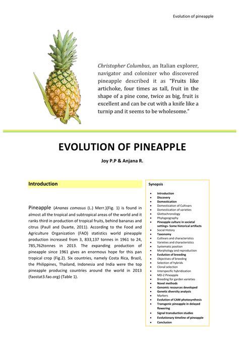 The History and Origins of Pineapple