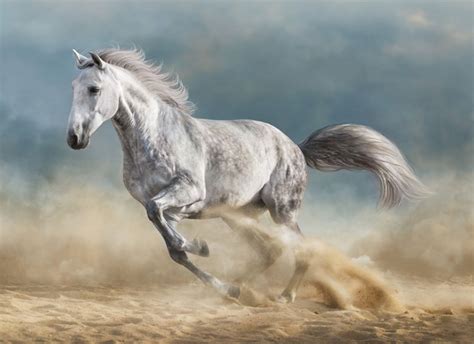 The Horse as a Symbol: Exploring its Significance in Interpreting Dreams