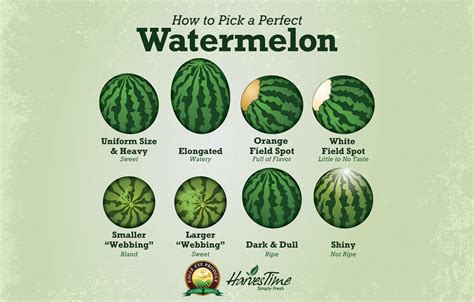 The Illusion of a Perfect Watermelon